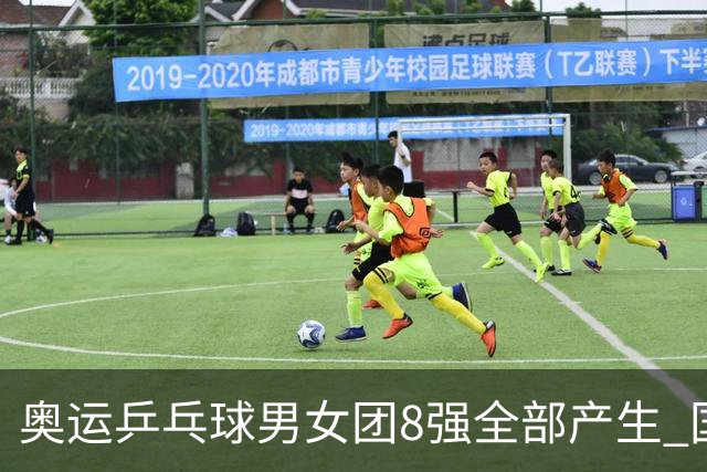 奥运乒乓球男女团8强全部产生 国乒男队将战韩国