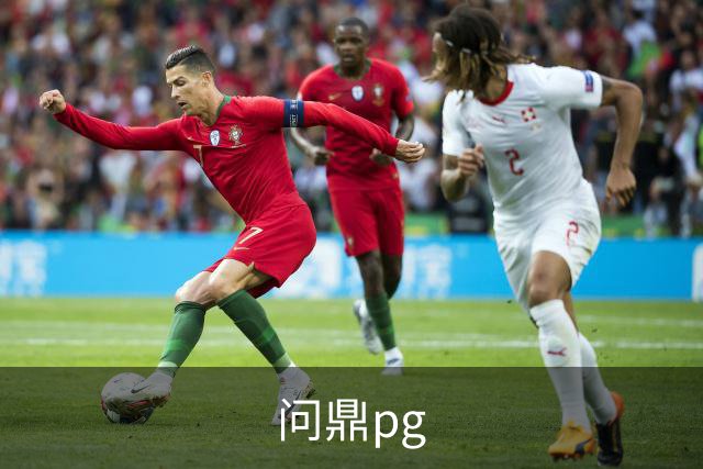问鼎pg公司简介图片